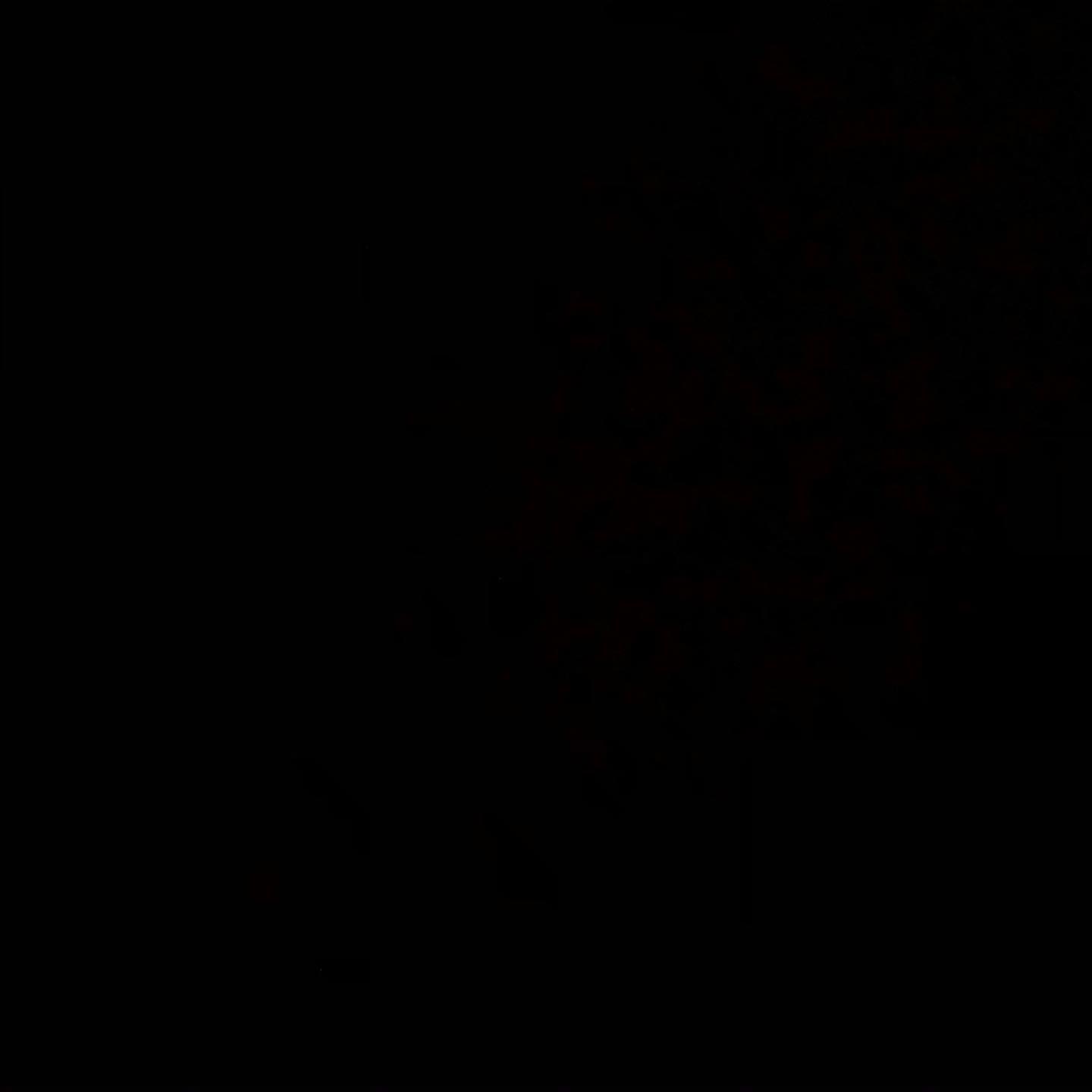 101387745 259142495432436 7079136976572255969 N